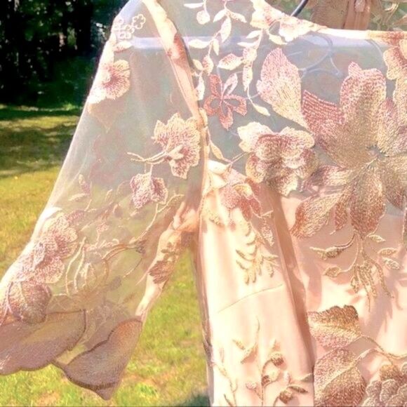 ADRIANNA PAPELL ROSE QUART LONG ILLUSION MESH DRESS 8 NWT - Picture 3 of 16